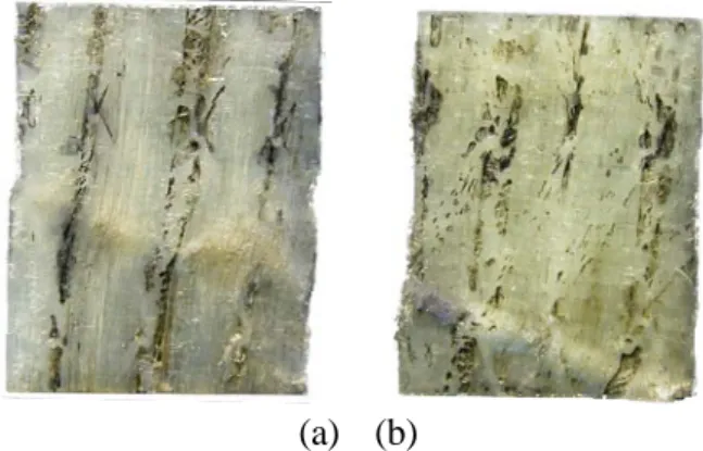 Figure 9. Out-of-plane shear failure mechanism  for 90 degree specimens ((a) pure epoxy resin, (b)  30wt% silica nanoparticles) 