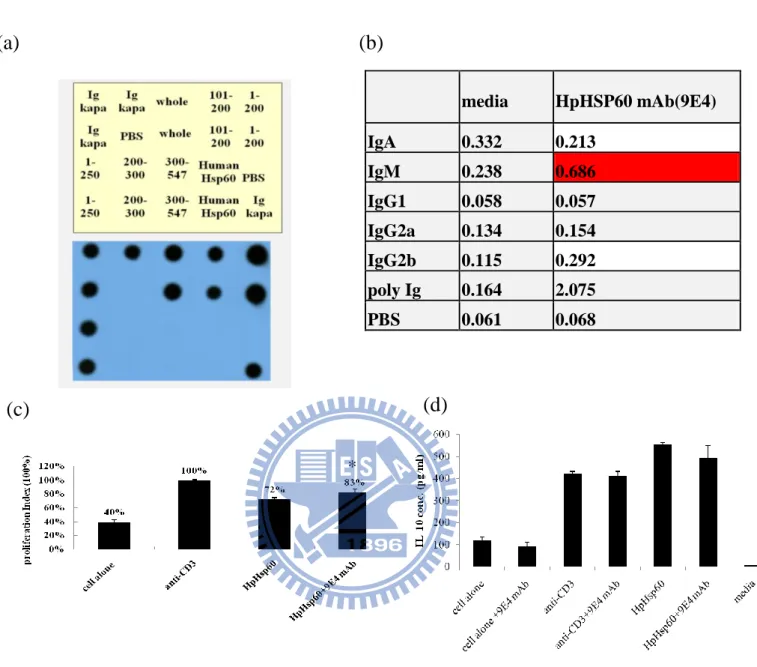 Figure 7: The characterizations and application of monoclonal Ab. a)  Dot  blotting  for  investigating  the  HpHsp60  monoclonal  to  recognize  which fragments