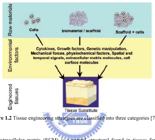 Figure 1.2 Tissue engineering strategies are classified into three categories [7]. 