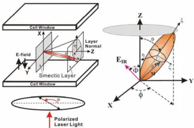 Fig. 2.1: Schematic of SSFLC cell: Z denotes the rubbing direction, which also the 