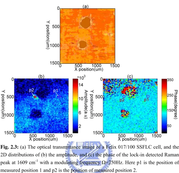 Fig. 2.3: (a) The optical transmittance image of a Felix 017/100 SSFLC cell, and the  2D distributions of (b) the amplitude, and (c) the phase of the lock-in detected Raman  peak at 1609 cm -1  with a modulating frequency Ω=250Hz