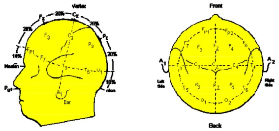 Figure 2-3: Pictures show the International 10-20 system of the electrode placement.  (A): lateral view