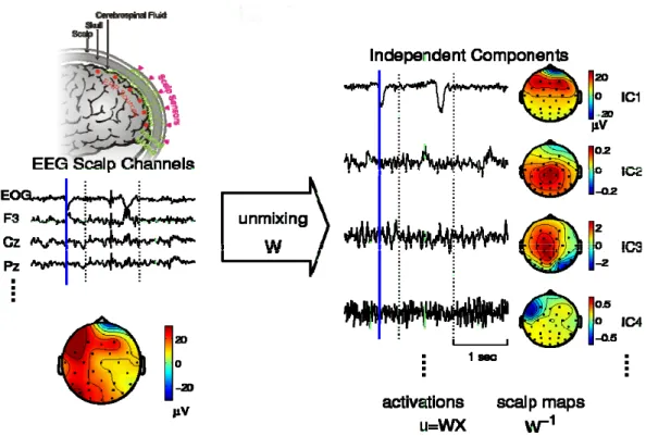 Figure 3-4: Picture shows the illustration of ICA decomposed concept. EEG signals  recorded from the scalp are mixed with multiple sources by a mixing matrix