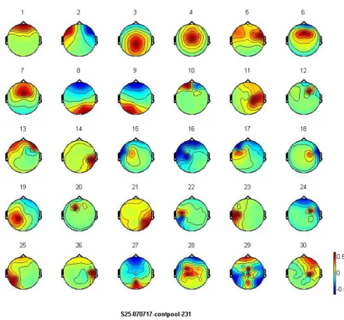 Figure 3-5: The picture shows the typical example of scalp topography of ICA  decomposition of one subject