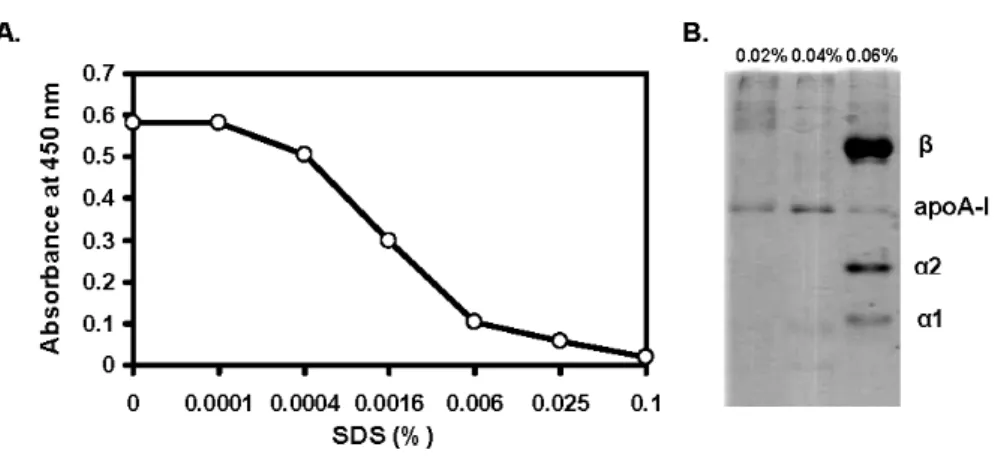 Fig. 5. Binding of HDL with Hp and its dissociation by SDS.  (A) Hp was first 