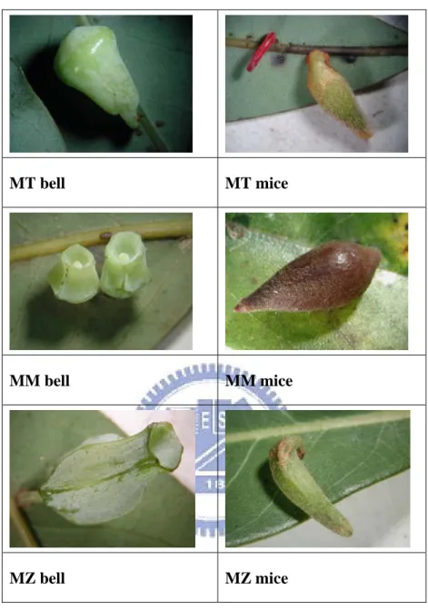 Figure 4. Plant samples   