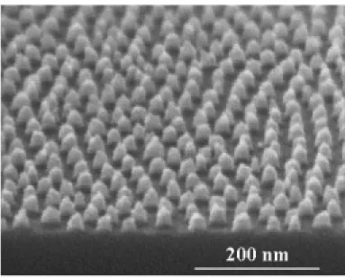Figure 1-3-3 SEM image of polystyrene-b-polyferrocenyldimethylsilane mask,  after the polystyrene has been removed by O 2  RIE