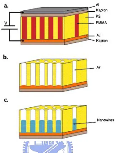 Figure 1-3-4 Schematic representation of high density nanowire fabrication in a  polystyrene-b-poly(methylmethacrylate) matrix