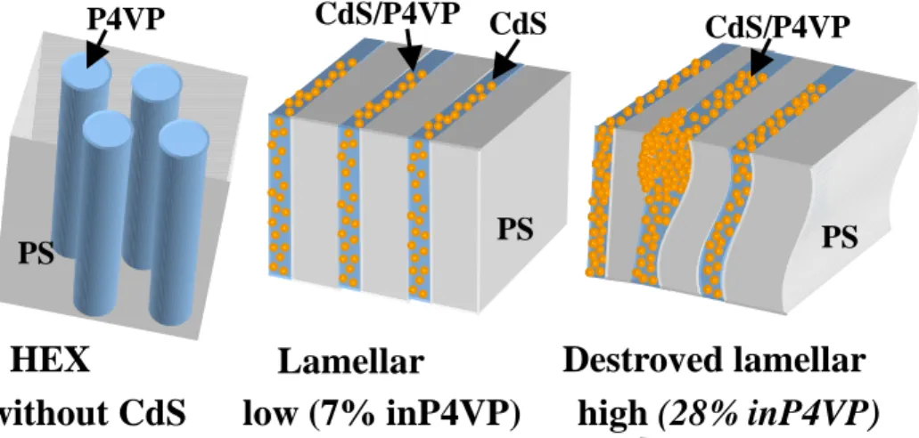 Figure 1-3-5 The morphological transformation from a hexagonally packed  cylinder structure of pure polystyrene-b-poly(4-vinylpyridine) (PS-b-P4VP)  diblock copolymers to lamellar (CdS/P4VP)-b-PS composites