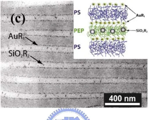 Figure 1-3-8 TEM micrograph of a ternary blend of polystyrene-b-poly(ethylene  propylene) + AuR 1  + SiO 2 R 2  with inorganic filling fraction f = 0:02; respectively,  after micro-sectioning normal to the layer direction (no stain)