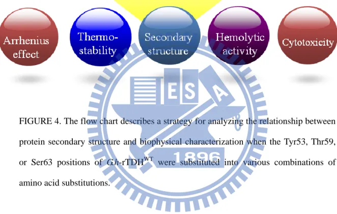 FIGURE 4. The flow chart describes a strategy for analyzing the relationship between  protein  secondary structure and  biophysical characterization when  the Tyr53,  Thr59,  or  Ser63  positions  of  G.h-rTDH WT   were  substituted  into  various  combina