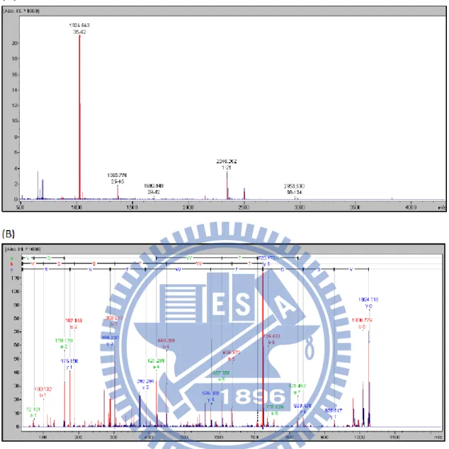FIGURE 7. (A) MALDI-TOF-TOF MS spectrum and peptide mapping of G.h-rTDH  protein.  (B)  Tandem  mass  spectrum  of  a  signal  charged  tryptic  peptide  at  m/z  1024.543,  was  deduced  from  the  mass  differences  in  the  y-fragment  ion  series  and 