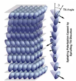 Figure 1-3 Twist of the molecules and the director in the SmC *  phase. The chiral  molecules rotate around the cone