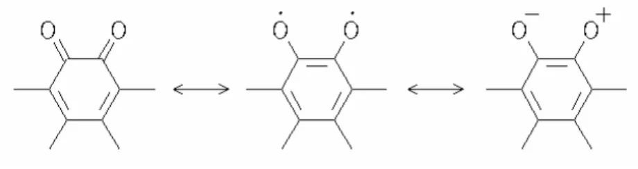圖 2-9 1,4-dioxene 曝光形成示意圖 