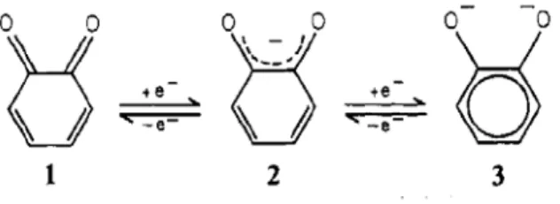 圖 2-10 o-benzoquinone 的三種氧化態。(1) o-benzoquinone(2)  o-benzosemiquinone (3)catecholate  圖 2-11 o-quinone 的反應機制  故 本 研 究 加 入 有 機 金 屬 離 子 化 合 物 於 含 有 o-quinone 的 9,10-phenanthrenequinone (PQ)當中，透過有機-無機混摻方式，一方面保有有機 製程簡便的特性；另一方面藉無機金屬離子來催化光化學反應，來改善材料的屬 性，同時，為了保有