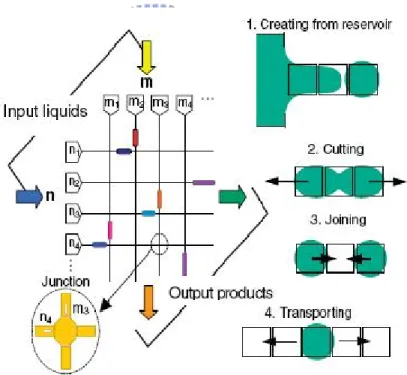Fig. 1-7 Digital and addressable microfludic circuit [9] 