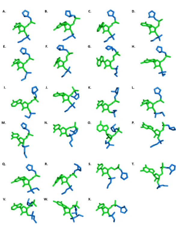 Figure 2-4.     23 個分群中心點核酸的三級結構圖。中心點核酸以綠色 表示；中心點前後各一個會影響中心點核酸假扭轉角度的核酸以藍 色表示。 