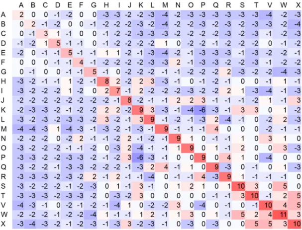 Figure 2-8.  第五次 iteration 所產生的類 BLOSUM 置換分數矩陣。 