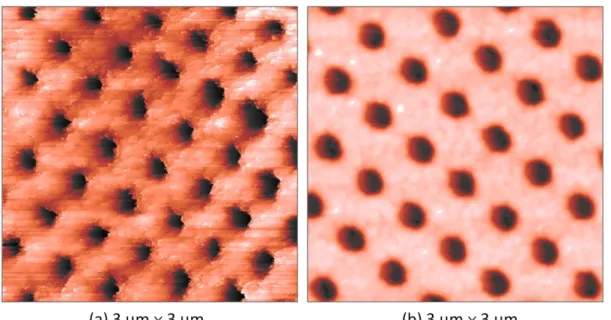 圖 5-8  直徑 250 nm 的 Hole Array 之(a)自製 STM 與(b)AFM 影像 