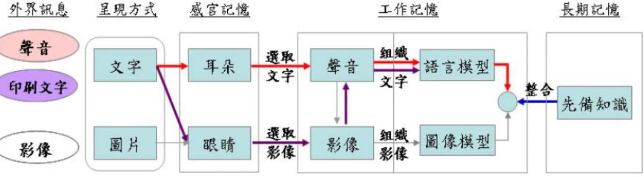 圖 4 聲音和印刷文字的認知處理模型   資料來源：修改自 Mayer, 2005  另一種情況是印刷文字和幾何圖片同時呈現的情況，如圖 5 所示。兩種訊息 會同時眼睛進入，在選取影像的過程，受試者的眼睛必須在兩種訊息之間來來回 回地移動，也會佔用較高的處理資源在選取訊息上。因此，若此兩種訊息在空間 上的位置能夠更接近地整合一起，則能夠改善此問題（R