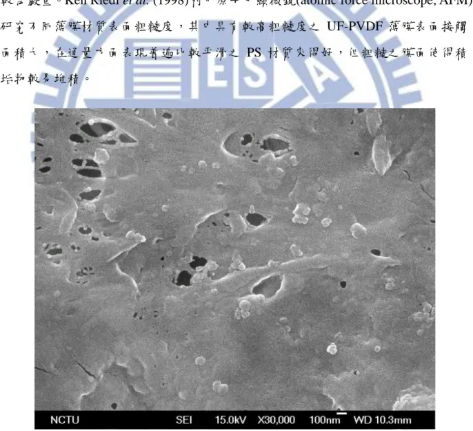 圖 4-10  過濾前之 UF-PVDF 薄膜 SEM 圖 