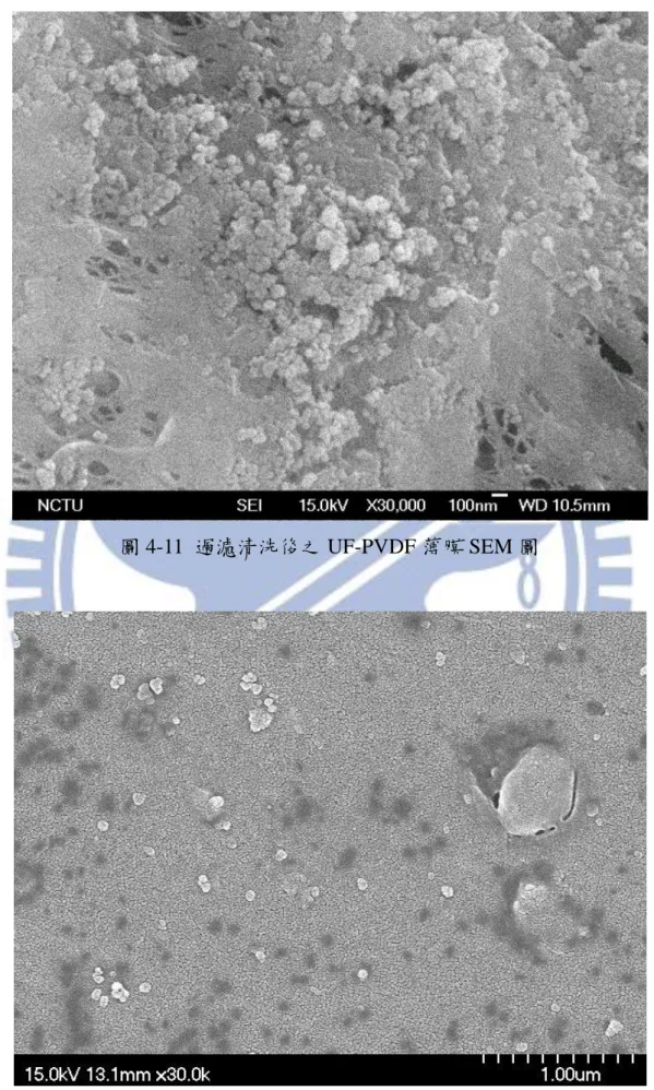 圖 4-11  過濾清洗後之 UF-PVDF 薄膜 SEM 圖 