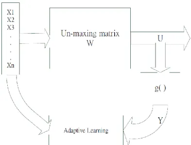 Figure 2.4  Adaptive learning independent component analysis  The information which output Y includes X is defined in equation 2.6
