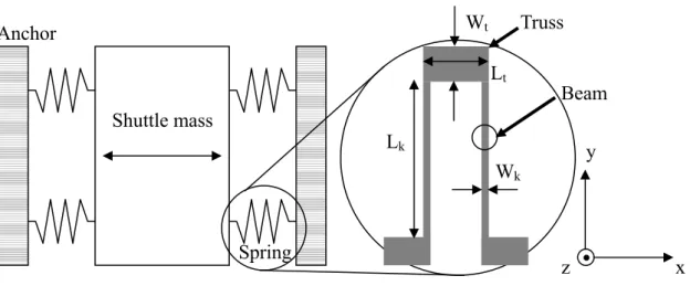 Fig. 2.16 Spring structure schematic view 