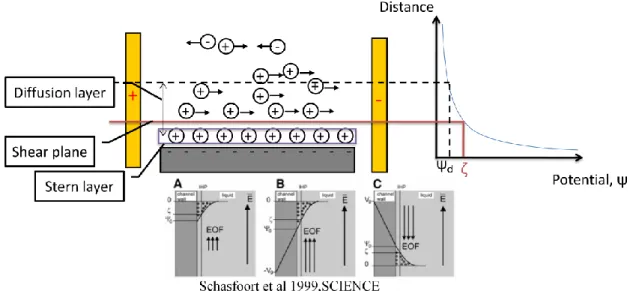 圖  8 電雙層結構以及 Zeta Potential 