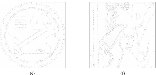 Figure 1.1.5 Input binary document images, output stego-images with secret data, and the differences