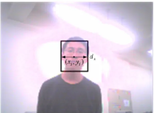Fig. 3.  The definition of observed system states in image plane. 