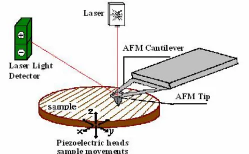 Fig. 3-1 Concept of AFM and the optical lever 