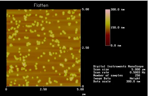 Fig. 4-5 0.2wt% 90nm nano-particles are coated by Method 2, the particle density is  about 11.6 μ m -2 