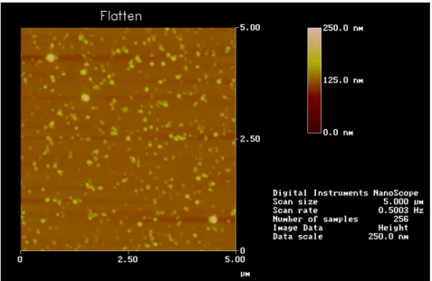Fig. 4-7 0.2wt% 50nm nano-particles are coated by Method 2. Some aggregations  were still found when the concentration is over 0.2wt%