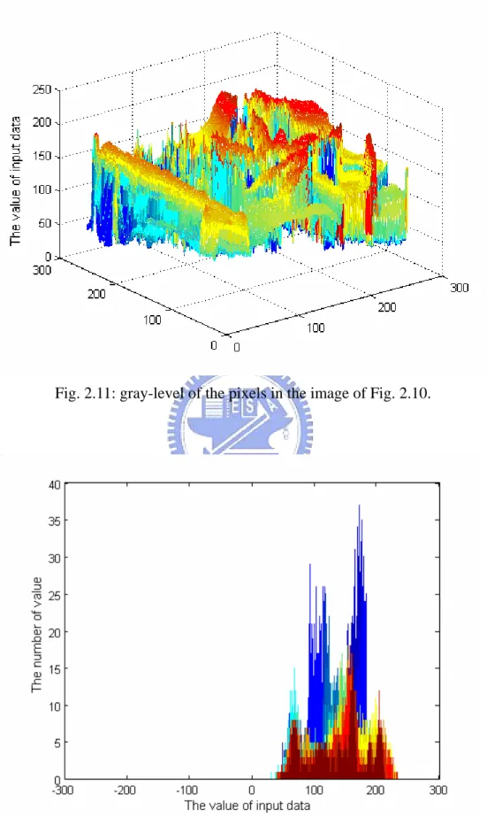 Fig. 2.11: gray-level of the pixels in the image of Fig. 2.10. 