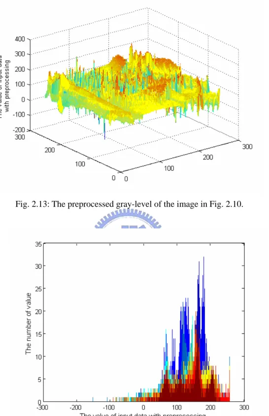 Fig. 2.13: The preprocessed gray-level of the image in Fig. 2.10. 