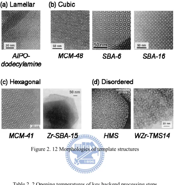 Figure 2. 12 Morphologies of template structures 