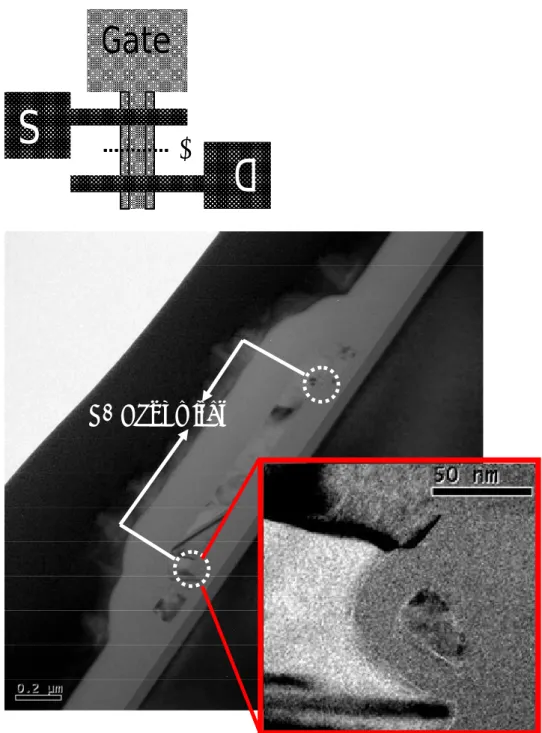 Fig. 2-2 Cross-sectional-view TEM picture of an S2 device along Line  AB  of  the top layout