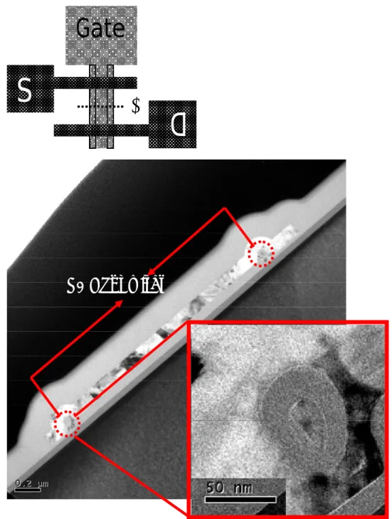 Fig. 2-3 Cross-sectional-view TEM picture of an S3 device along Line  AB  of  the top layout