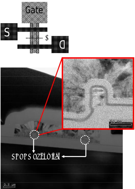 Fig. 2-5 Cross-sectional-view TEM picture of an NW SONOS device along Line  AB   of the top layout