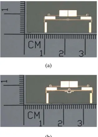 Fig. 3.5. The constructed filters. (a) The quadruplet filter. (b) The quadruplet filter  with source/load coupling