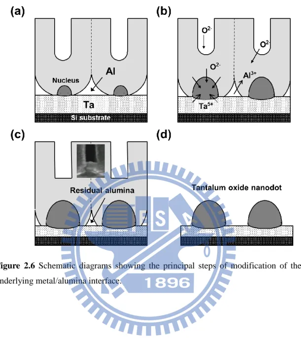 Figure  2.6  Schematic  diagrams  showing  the  principal  steps  of  modification  of  the  underlying metal/alumina interface