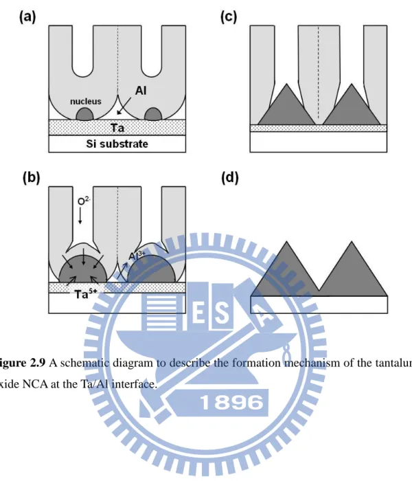 Figure 2.9 A schematic diagram to describe the formation mechanism of the tantalum  oxide NCA at the Ta/Al interface