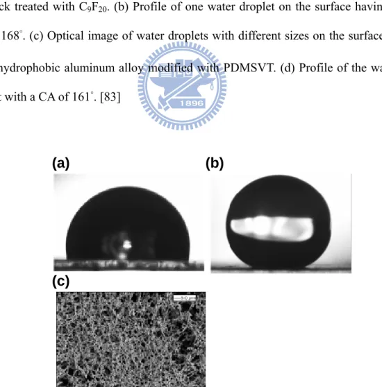 Figure 2-22.    The profile of a water drop on (a) a smooth i-PP surface (CA = 104°), 