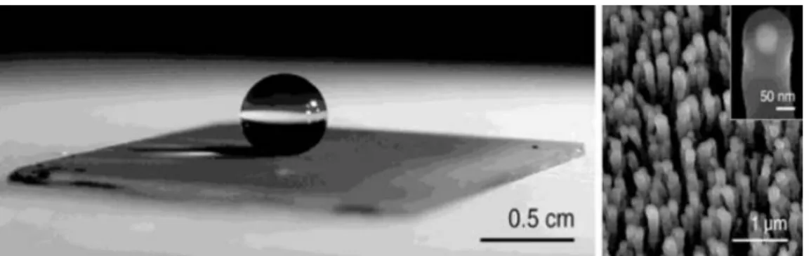 Figure 2-24 Left, a drop of water resting on a PTFE-coated car icrograph of the same ultraphobic surface