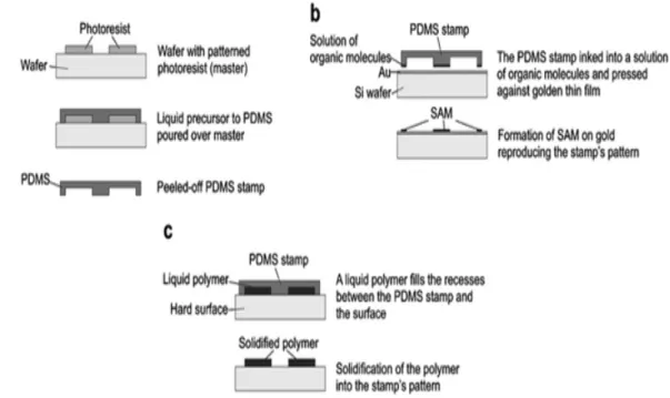 Figure 1.4 Process of the Soft lithography [5]; (a) formation of an elastic stamp, (b)  micro-contact printing, (c) micro-molding in capillaries 