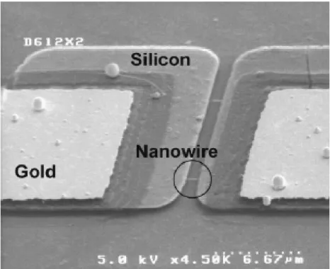 Figure 2.1 Field emission scanning electron microscopy photos of the fabricated  devices