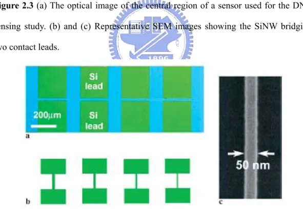 Figure 2.4 (a) Optical image of the central region of a sensor showing a portion of the 