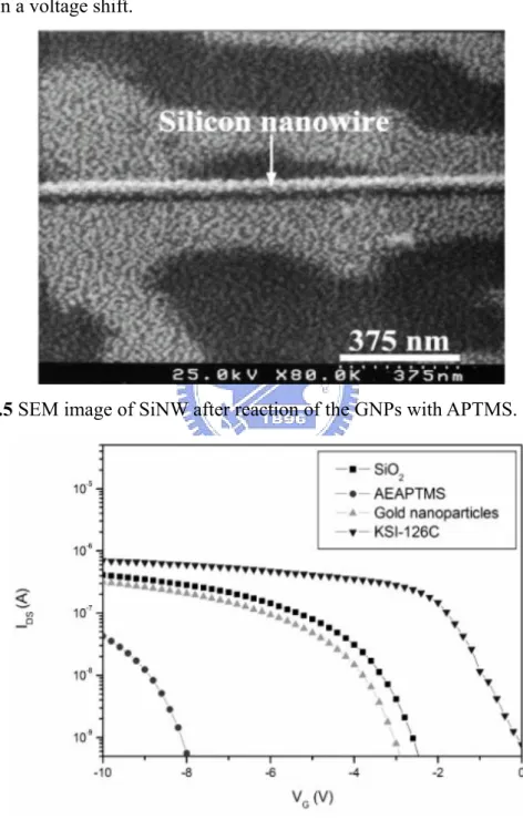 Figure 2.5 SEM image of SiNW after reaction of the GNPs with APTMS. 