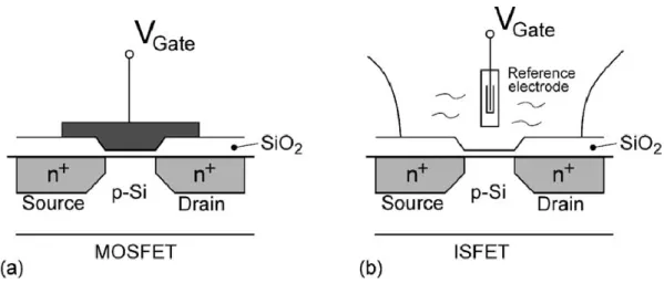 Fig. 1-8  Table of ISFET, ChemFET and EnFET structures, detectable analytes, and  sensitive membranes with bio-receptors [1.70]